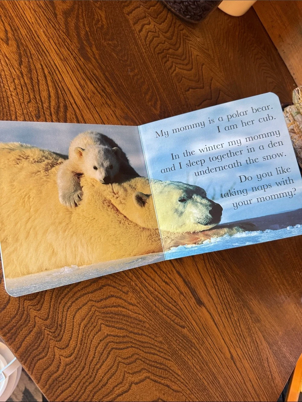 8 Children's Touch & Feel, Board Books, baby, toddler, preschool, tiny toys